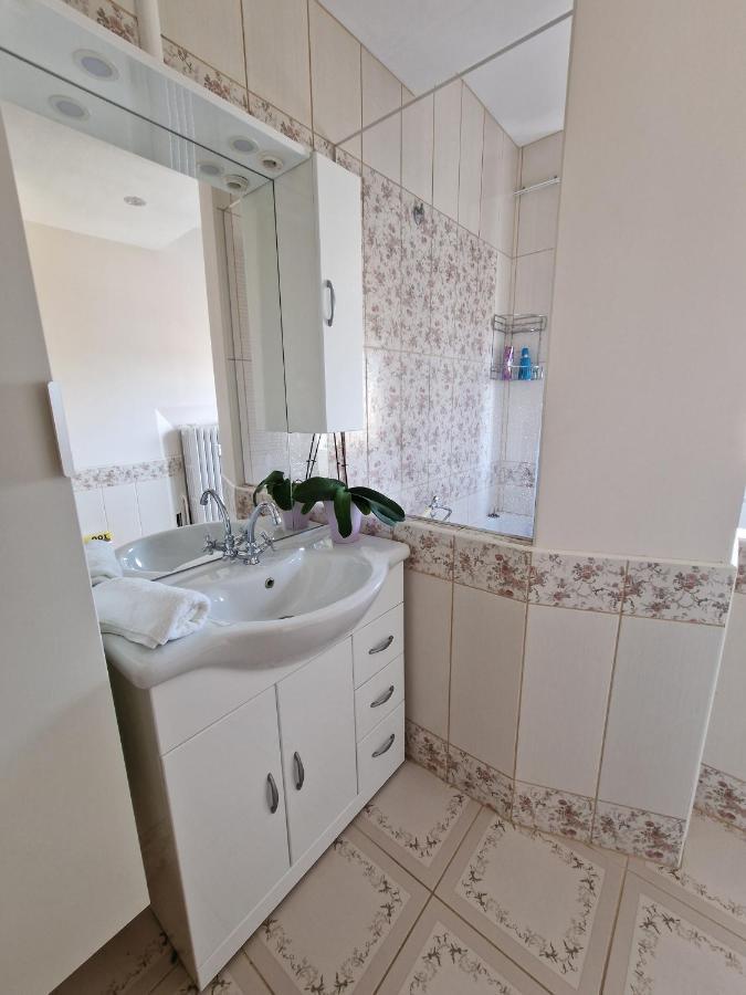 Nice Room 4 Minutes From Basel Shared Apartment Saint-Louis  Dış mekan fotoğraf
