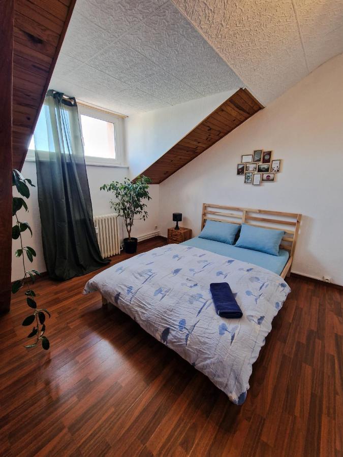 Nice Room 4 Minutes From Basel Shared Apartment Saint-Louis  Dış mekan fotoğraf