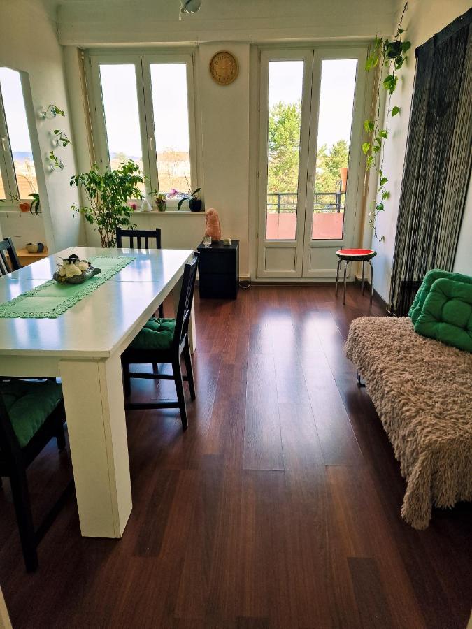 Nice Room 4 Minutes From Basel Shared Apartment Saint-Louis  Dış mekan fotoğraf