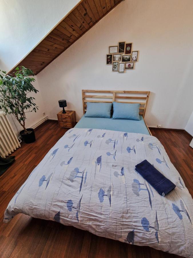 Nice Room 4 Minutes From Basel Shared Apartment Saint-Louis  Dış mekan fotoğraf