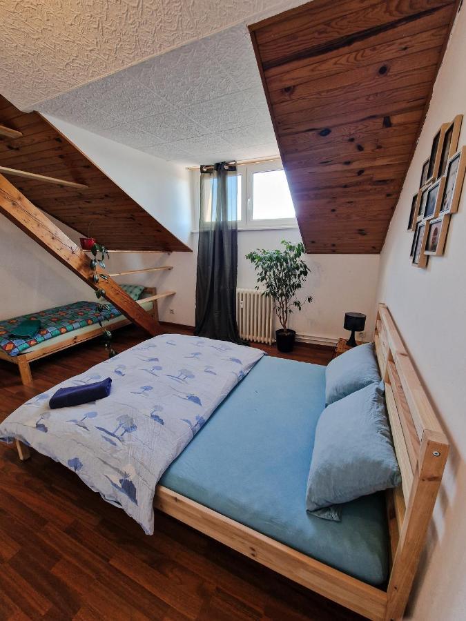Nice Room 4 Minutes From Basel Shared Apartment Saint-Louis  Dış mekan fotoğraf