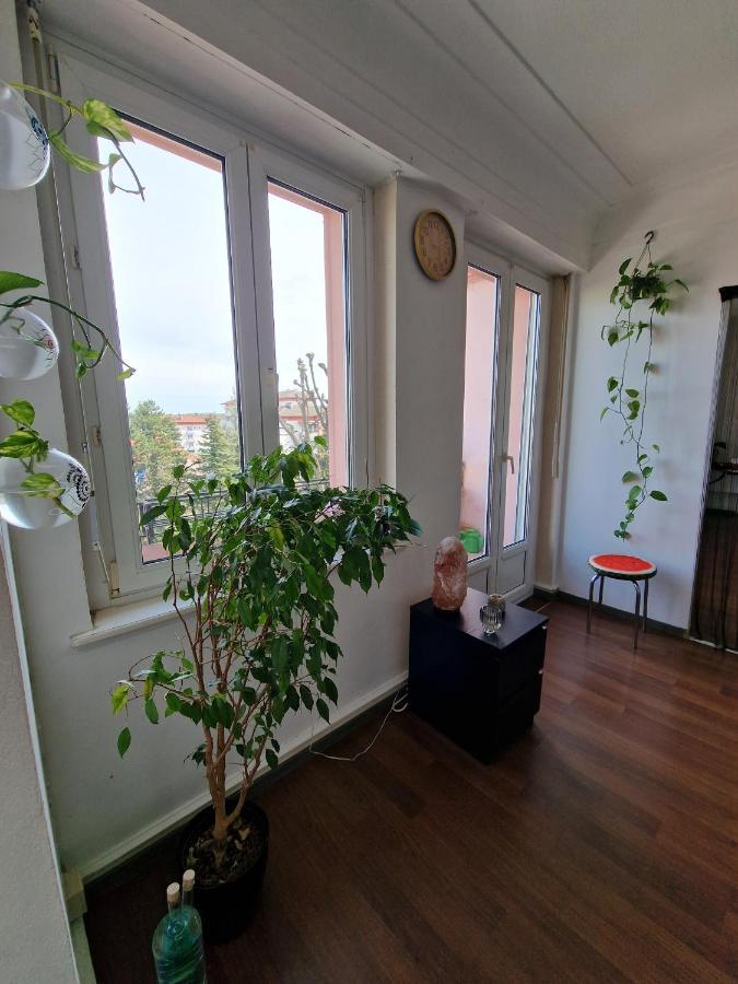 Nice Room 4 Minutes From Basel Shared Apartment Saint-Louis  Dış mekan fotoğraf